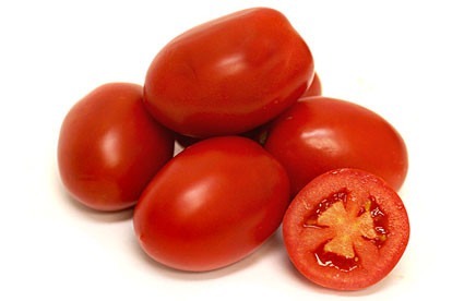 Tomate - ALANFRUITS, S.L. - ALANGE FRUITS,S.L